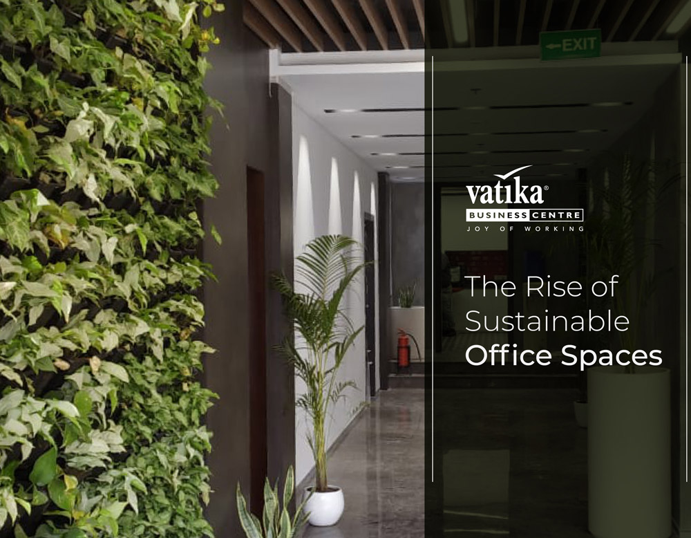 The Rise of Sustainable Office Spaces